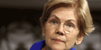 Elizabeth Warren